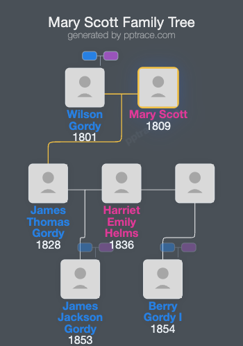 Mary Scott family tree overview