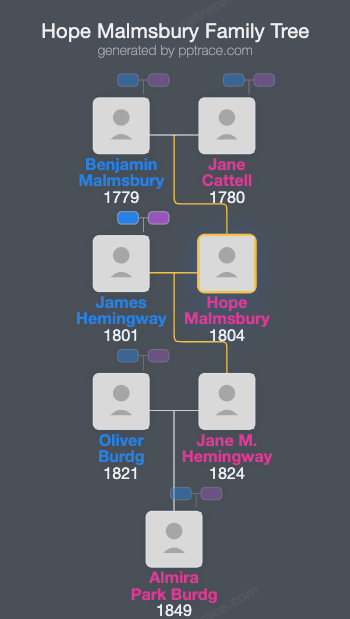Hope Malmsbury family tree overview