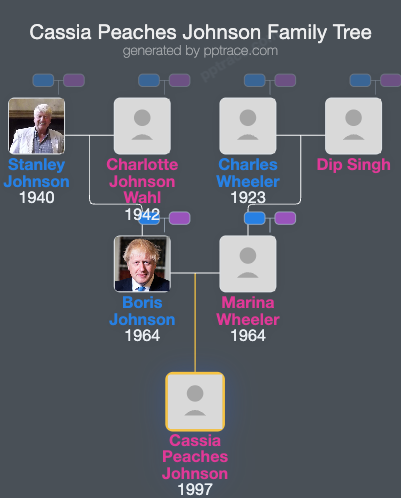 Cassia Peaches Johnson family tree overview