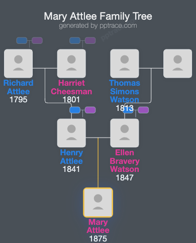 Mary Attlee family tree overview