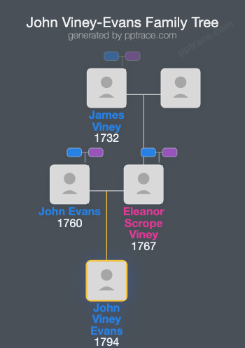 John Viney-Evans family tree overview