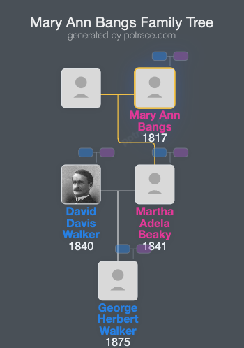 Mary Ann Bangs family tree overview