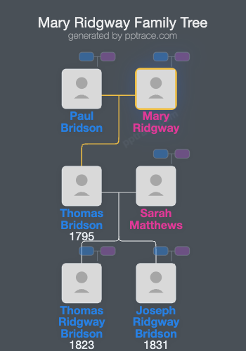Mary Ridgway family tree overview