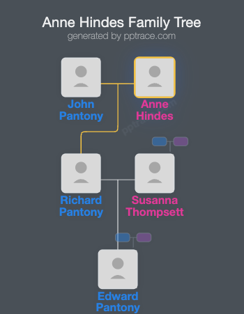 Anne Hindes family tree overview