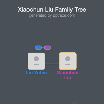 Xiaochun Liu family tree overview