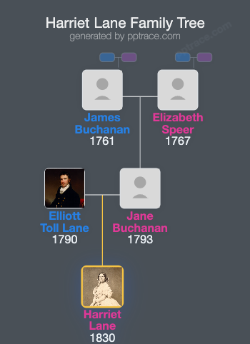 Harriet Lane family tree overview