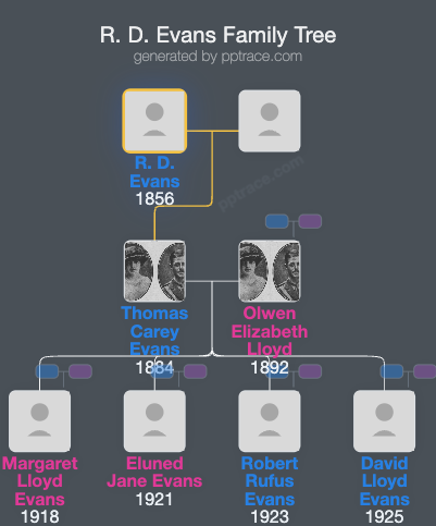 R. D. Evans family tree overview