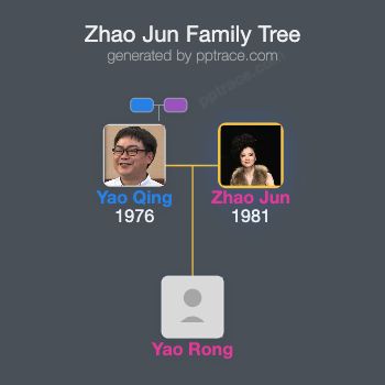 Zhao Jun family tree overview