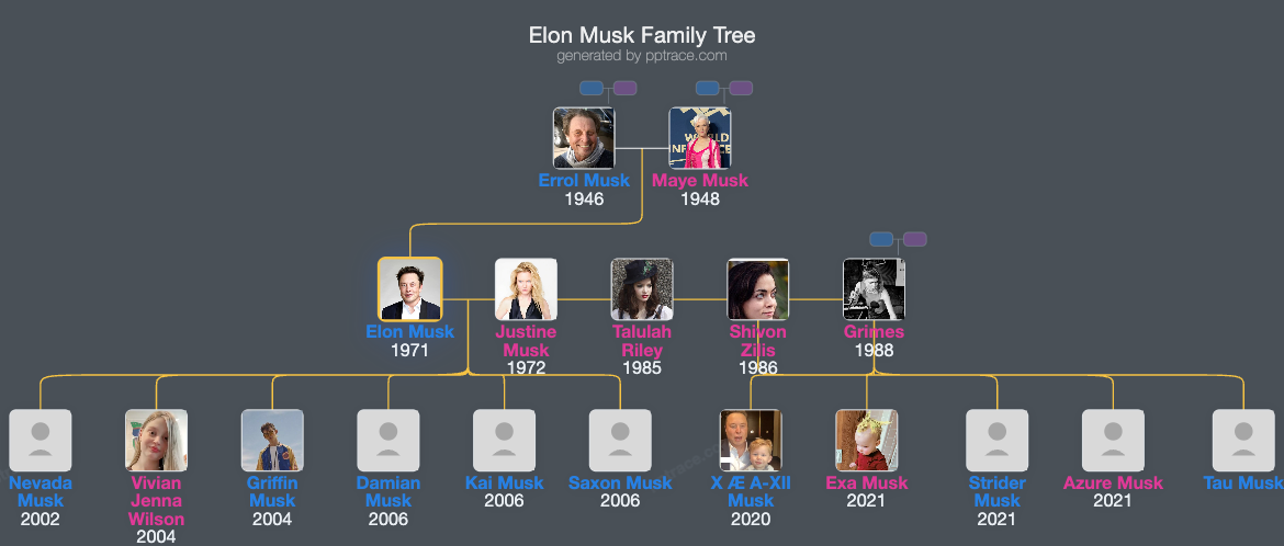 Elon Musk family tree overview
