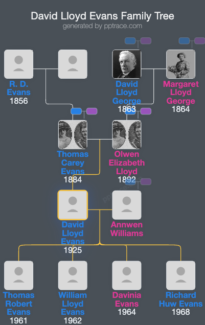 David Lloyd Evans family tree overview