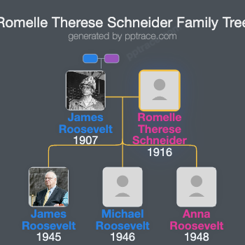 Romelle Therese Schneider family tree overview