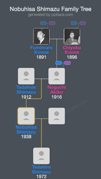 Nobuhisa Shimazu family tree overview