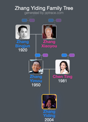 Zhang Yiding family tree overview
