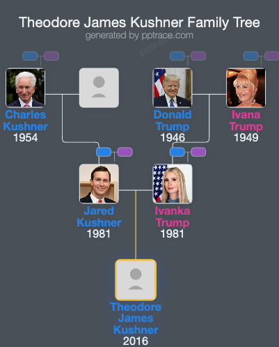Theodore James Kushner family tree overview