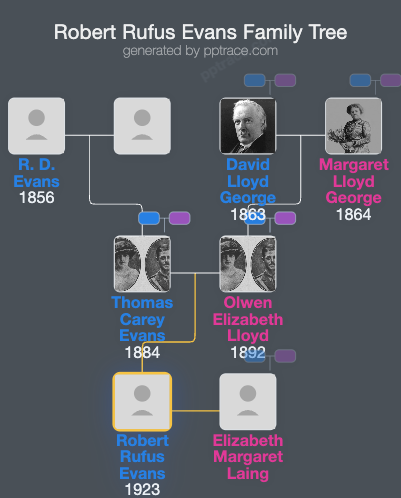 Robert Rufus Evans family tree overview