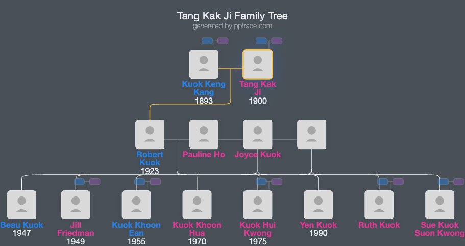 Tang Kak Ji family tree overview