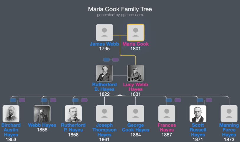 Maria Cook family tree overview