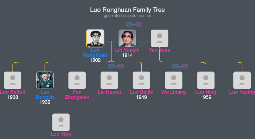 Luo Ronghuan family tree overview