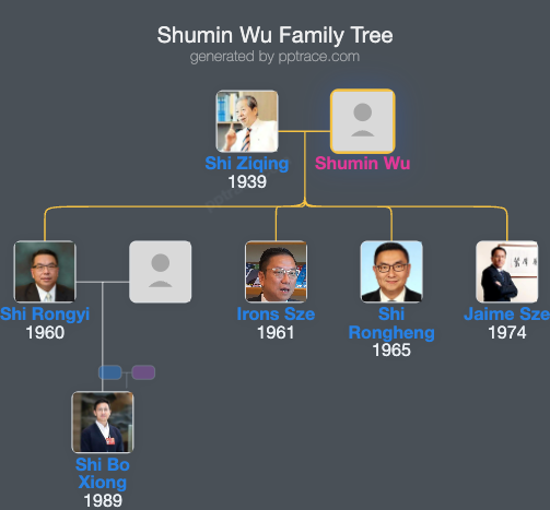 Shumin Wu family tree overview