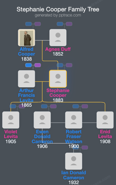 Stephanie Cooper family tree overview