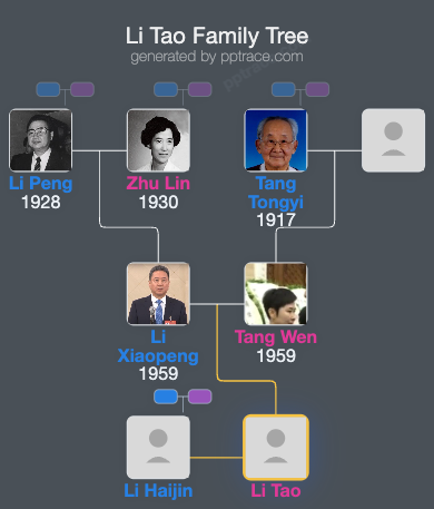 Li Tao family tree overview