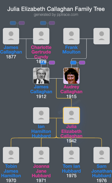 Julia Elizabeth Callaghan family tree overview