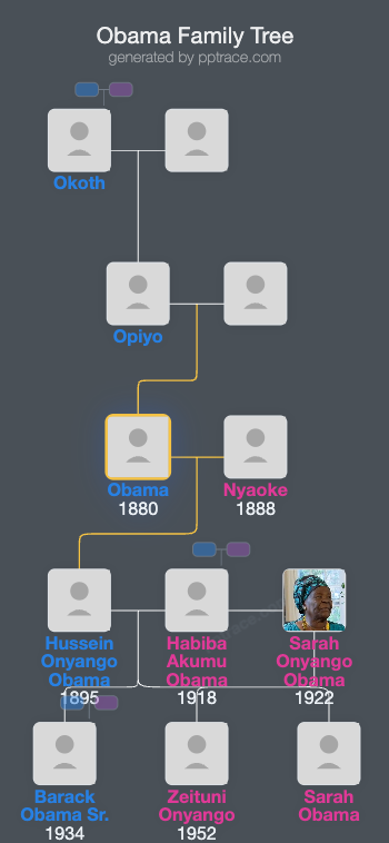 Obama family tree overview