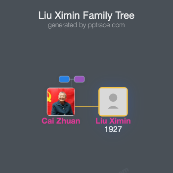 Liu Ximin family tree overview