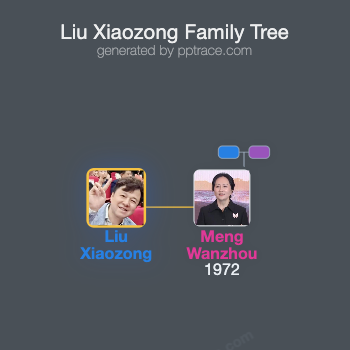 Liu Xiaozong family tree overview