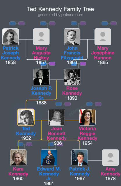 Ted Kennedy family tree overview