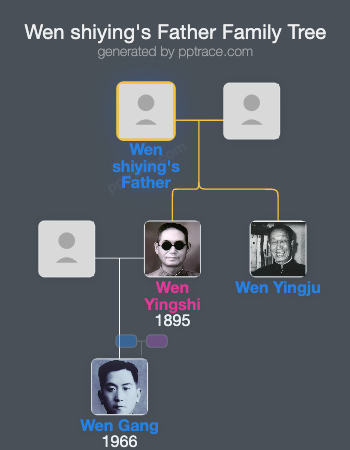 Wen Shiying's Father family tree overview