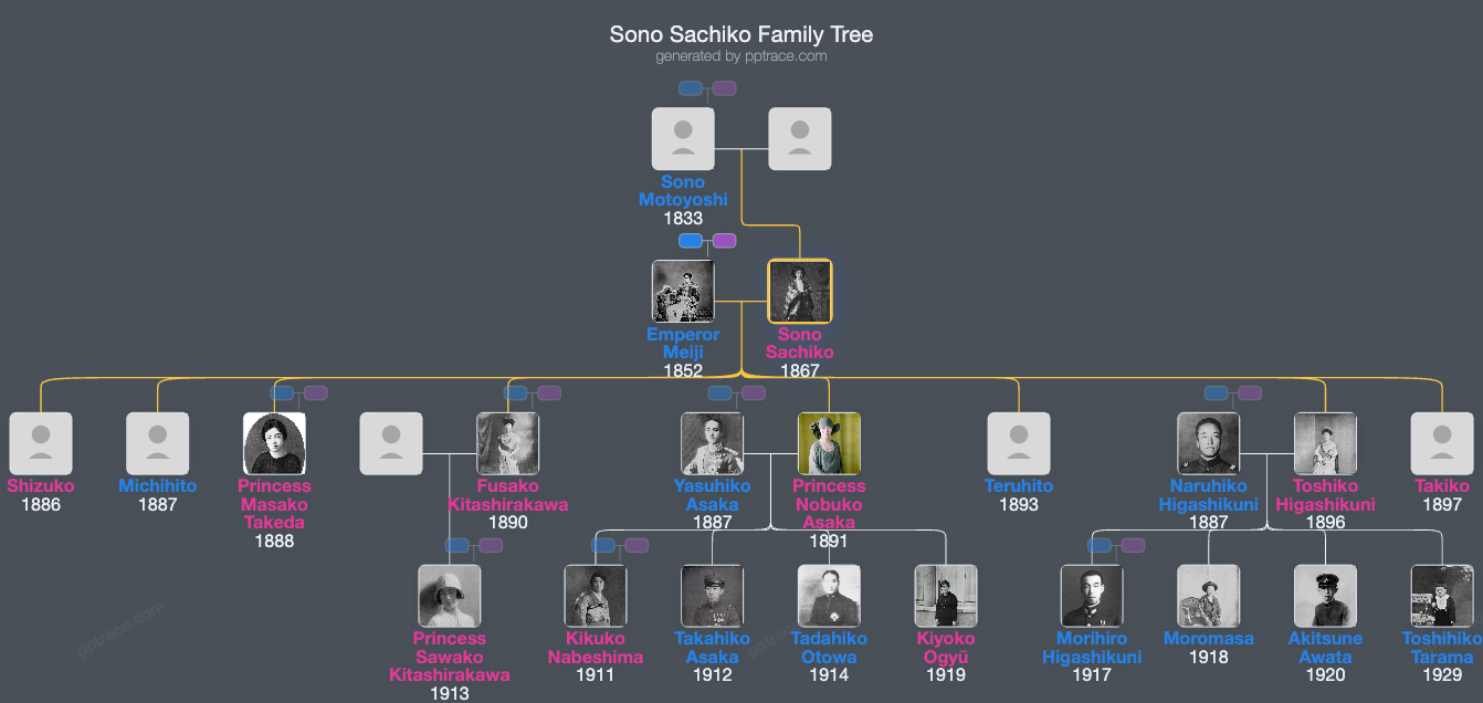 Sono Sachiko family tree overview
