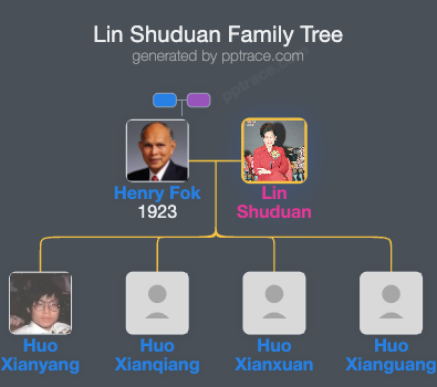 Lin Shuduan family tree overview