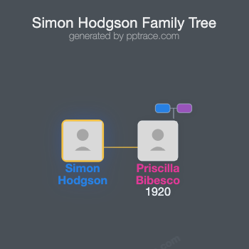 Simon Hodgson family tree overview