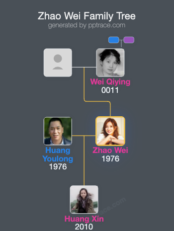Zhao Wei family tree overview