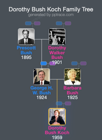 Dorothy Bush Koch family tree overview