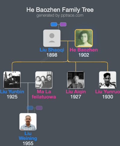 He Baozhen family tree overview