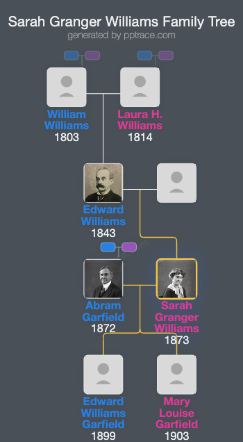 Sarah Granger Williams family tree overview