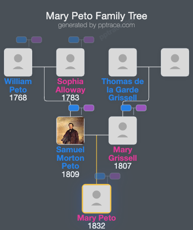 Mary Peto family tree overview