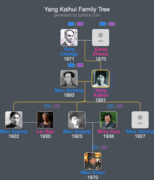 Yang Kaihui family tree overview