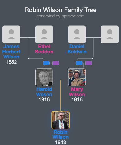 Robin Wilson family tree overview