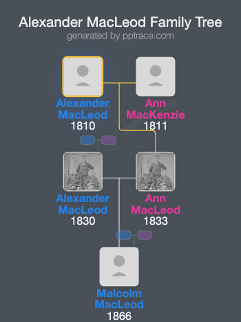 Alexander MacLeod family tree overview
