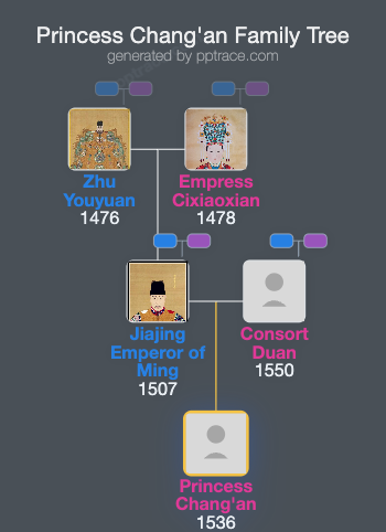 Princess Chang'an family tree overview
