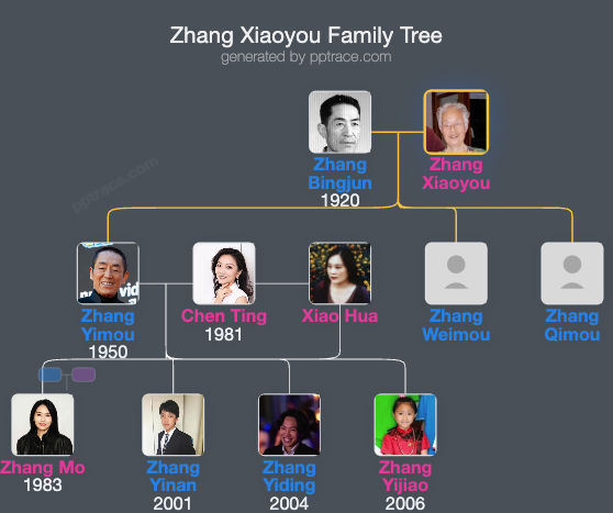 Zhang Xiaoyou family tree overview