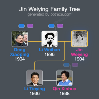 Jin Weiying family tree overview