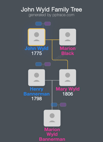 John Wyld family tree overview