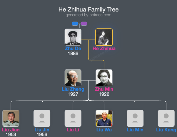He Zhihua family tree overview