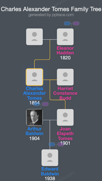 Charles Alexander Tomes family tree overview