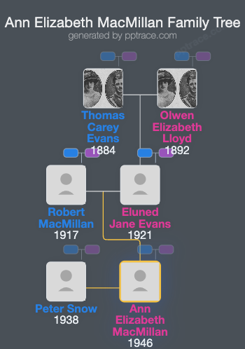 Ann Elizabeth MacMillan family tree overview