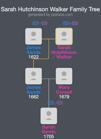 Sarah Hutchinson Walker family tree overview